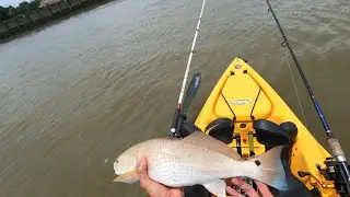 Fishing For Redfish in Summer Heat