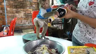 Adorable Monkey Donal Help Mom To Mix Ingredient For Cook
