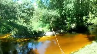 Bass Fishing Suburban Florida