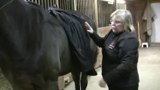 NBEA - How to Remove and Place a Blanket on a Horse - Without Leg Straps