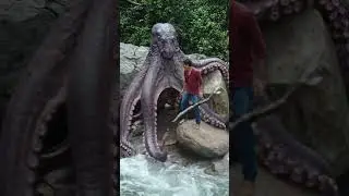 &ldquo;Octopus vs Human 🐙😱 | Final Battle Begins #octopusattack #viralshorts #dontskip #realfight