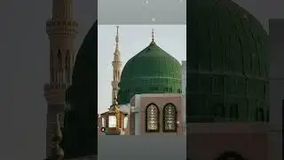 The heart of islam;devotion to prophet Muhammad ﷺ #shorts #viralvideo