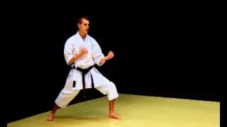 Kizami Zuki