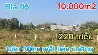Cần bán 10.000m2 sổ Hồng riêng gần trường chợ đất tại định quán tỉnh đồng Nai 
