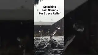 Splashing Rain Sounds For Stress Relief