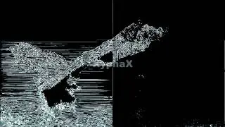 XyphaX (Last Delay) - 