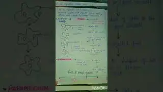 class 10 biology notes 