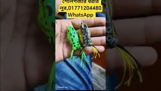 শোলগজার ধরার লুর পাবেন ঈশ্বরদী ছিপ ঘরে,#fishing #abusahid #baitcasting #foryou