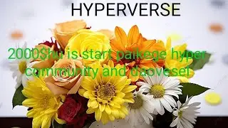 good news hyperverse and hyper community login problem 13 December 2023