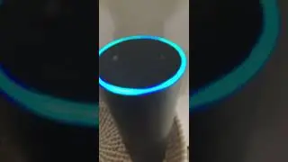 Alexa can&rsquo;t connect to the network