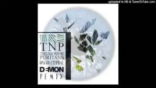 These New Puritans  - Organ Eternal (DEMON remix)