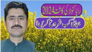 Cultivation of Raya canola 2024||| When to start sowing ||| Agahi main baqah