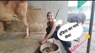 The Bizarre Industry of Indian Cow Worship
