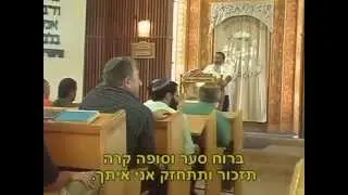 עלה קטן גני טל
