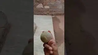office pin bowling 🤔 #cricket #video #bolwing #viral  #shorts