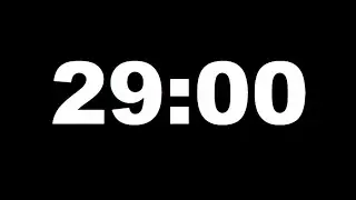 29 Minute Countdown Timer