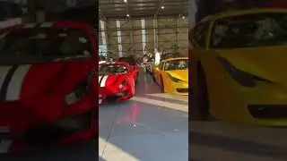 Luxury collection VIP cars