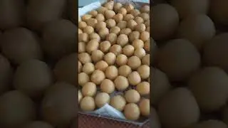 Mais salgadinhos de 20 g feito na compacta print