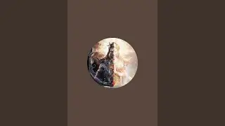 4k wacth time live 06