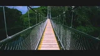 A Drive To Nilambur | Conolly's Plot And Nilambur Teak Museum | Drive From Kochi | India