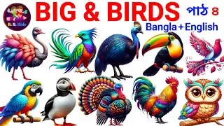 Birds Name for Kids | Big & Special Birds | Part Four। Kids learning 