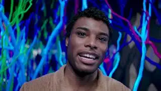 Ever tried describing Meow Wolf to your friends? | Radio Tave