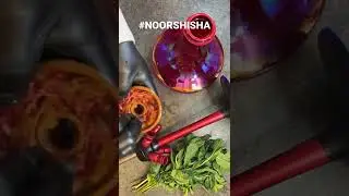 4-ways shisha with mint