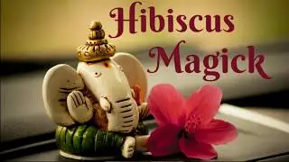 🌺HIBISCUS FLOWER MAGICK🌺 (SPELL IDEAS & MORE)🌺