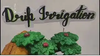 The water wizard | Drip irrigation