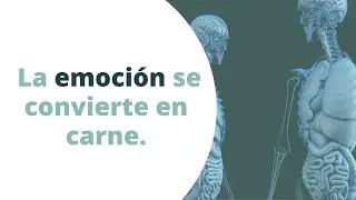 De cómo la emoción se convierte en carne. Una teoría sobre como las vivencias marcan el cuerpo.