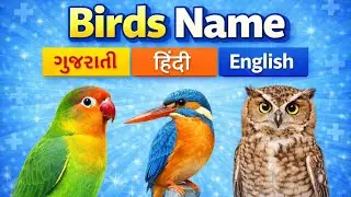 Birds Name in Gujarati, Hindi and English | Bird Names for Kids