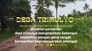 profil desa trimulyo