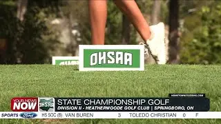West Central Ohio golfers open state tournament play in D-II competition