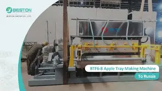 Ship BTF6-8 Apple Tray Making Machine to Russia