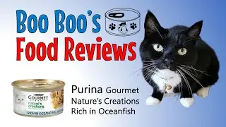 Boo Boo's CAT FOOD REVIEW No 4 🐱 Purina Gourmet Nature's Creations Oceanfish