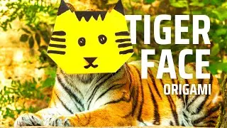 Easy and Adorable Tiger Face Origami Tutorial: Fold Your Own Fuzzy Feline Friend