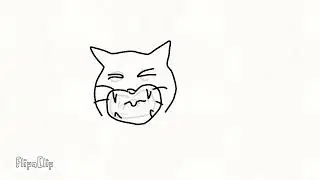 Cat yawning