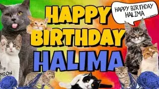 Happy Birthday Halima! Crazy Cats Say Happy Birthday Halima (Very Funny)