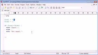 Beginner PHP Tutorial 24 of 200 (Triple Equals)
