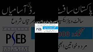Pakistan Software Export Board Jobs 2024 | PSEB Jobs 2024 | Today Government Jobs 2024 @achijobs