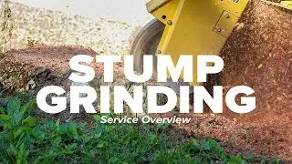 Stump Grinding Service Overview I Russell Tree Experts