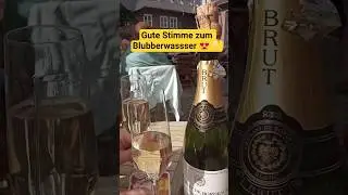 Gute Stimme zum Genuss 😍🥂👍 #shorts #musik #konzert #genuss #community #entspannung
