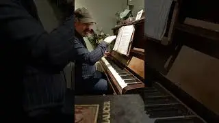 Ambient Piano and Orgonomy 3