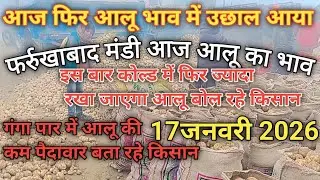 17/01/2026 आज आलूभाव में उछाल दिखा फर्रुखाबाद मंडी आज आलू का भाव potato rate today farrukhabad Mandi