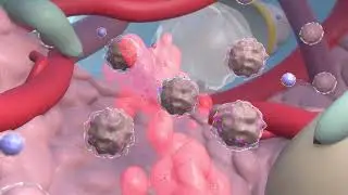 Heal Naturally with SoftWave Therapy | Non-Invasive Pain Solution