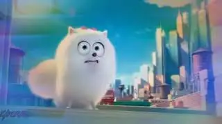The Secret Life of pets Gidget x Max call me beep me