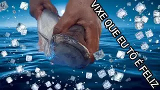 A MINHA ROTINA COM OS PEIXES🐟🐟🐟🐟