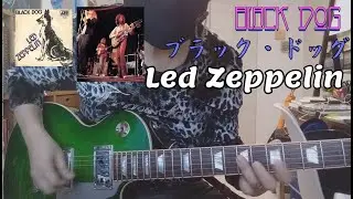 【演奏動画 BLACK DOGを弾いてみた🎸 G.O.A.T  LED ZEPPELIN 】A happy new year 2026❗👍🌈 #ledzeppelin #guitarcover