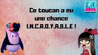 Ce toucan a UNE CHANCE I.N.C.R.O.Y.A.B.L.E !  😱🍀  |  FallGuys
