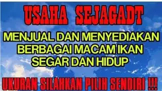 INDAHNYA JUAL BELI IKAN HIDUP sedang live sekarang!